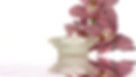 Bougie paisible et fleurs