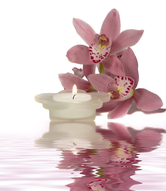 Bougie paisible et fleurs