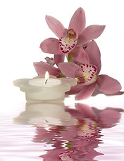 Bougie paisible et fleurs