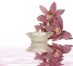 Peaceful Candle and Flowers