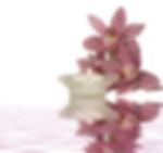 Salted Orchid 8 oz