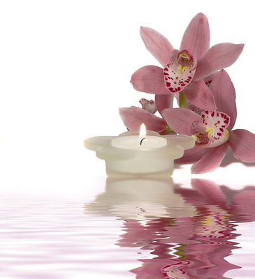 lotus flower and candle