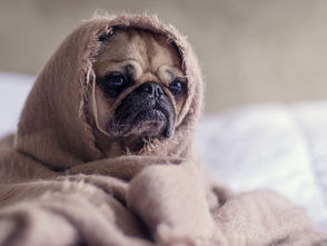 3 Ways To Overcome the Sunday Scaries