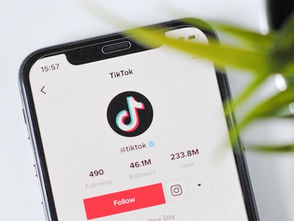 5 Brands That Are Killing It on TikTok