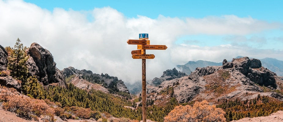Image of nature with a sign of multiple arrows pointing in different directions