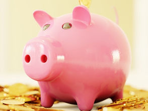 Where's Your Money Going? Transparency in Pricing at Wheels Up