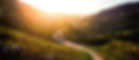 Image a scenic view