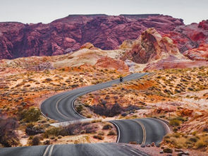 Lessons Learned in Marketing: Tales from the Trenches