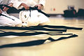 BAF Summer School Gradings