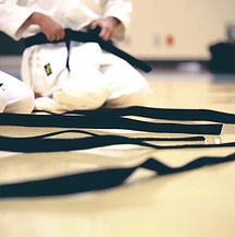 Respect at Shin Tenchi Dojo