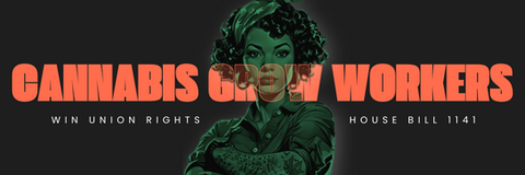 Washington Cannabis Grow Workers Win New Union Rights!