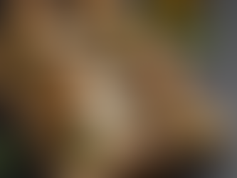 Rotolini di melanzane grigliate con un cuore filante di mozzarella e prosciutto: un'esplosione di gusto in ogni boccone!