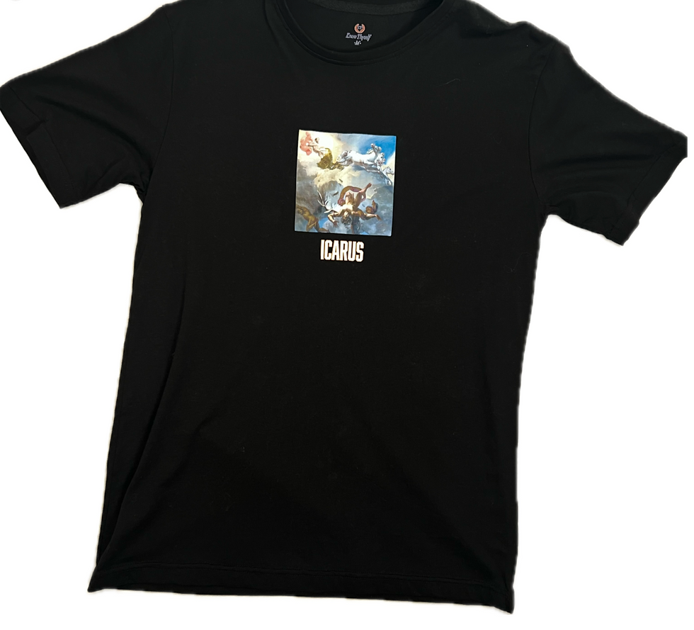 Thumbnail: Icarus V.1