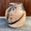 Thumbnail: Horsehair and Feather Raku Vase