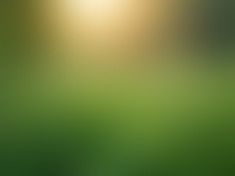 Kräuterkurse in Stadtlohn – Die Kräuter Academy entdecken