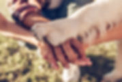 Hands and paws of all family members. Father, mother, daughter and dog are taking hands to