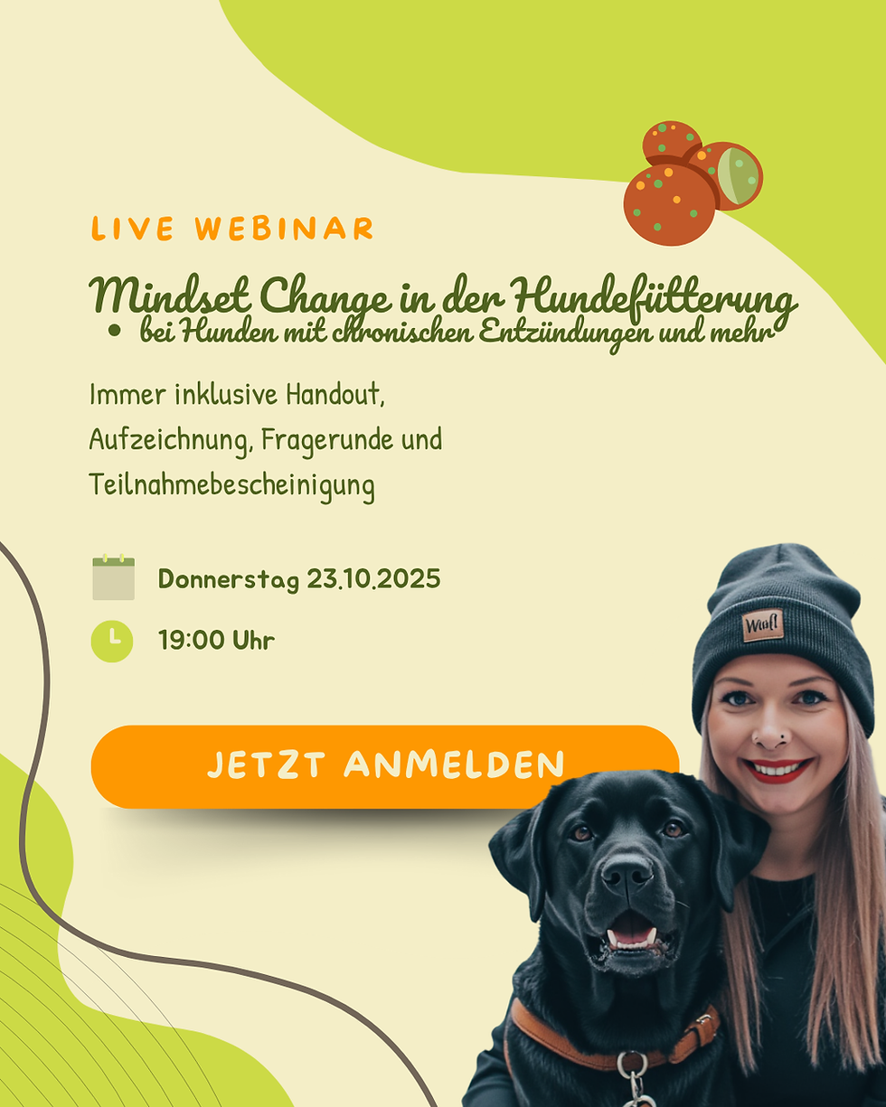 Webinar - Mindset Change in der Hundefütterung bei Hunden mit chronischen Entzündungen und mehr