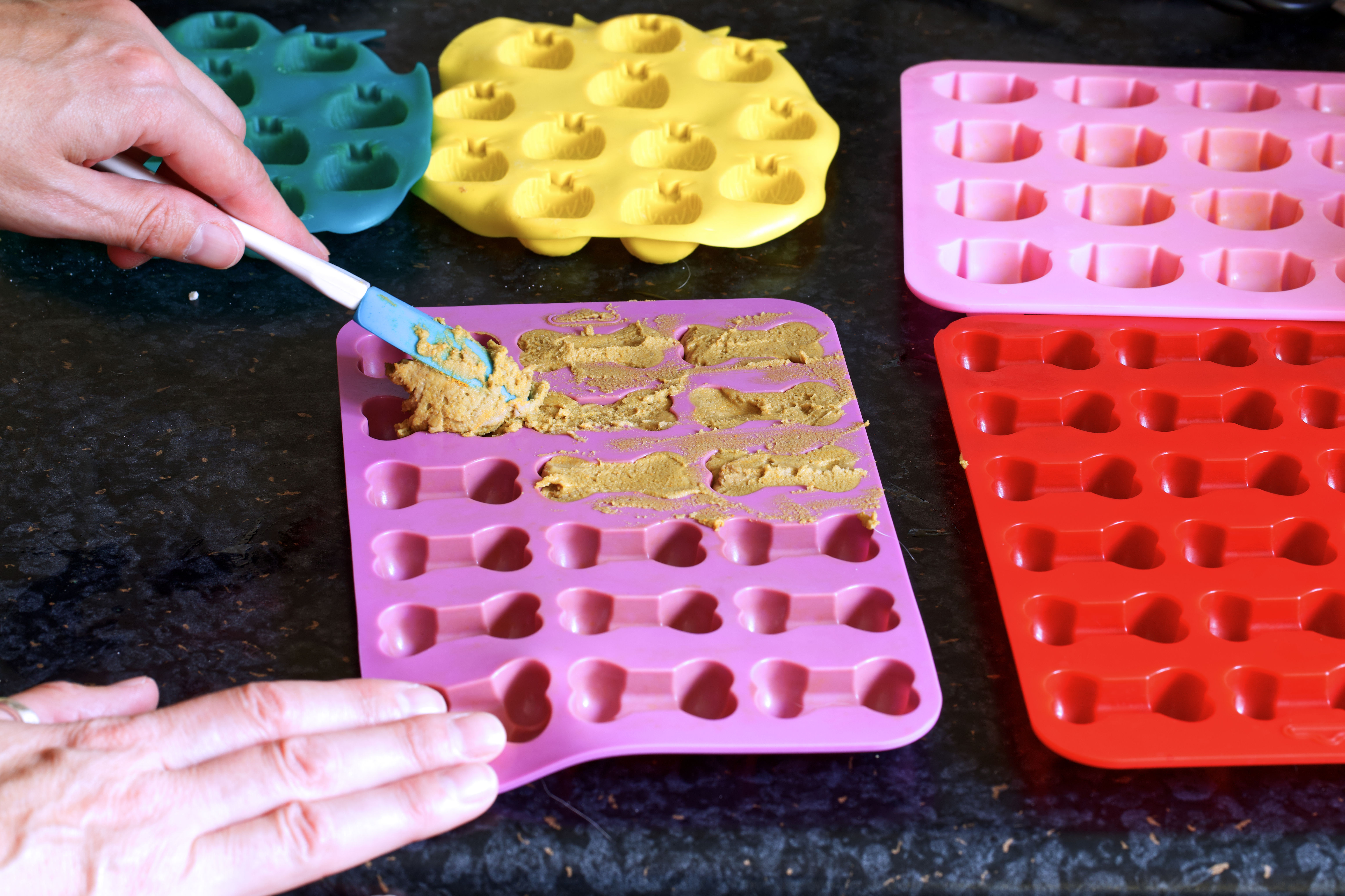 E-BOOK - BACKMATTEN LECKERCHEN - für Gesundheit & Wohlbefinden deines Hundes