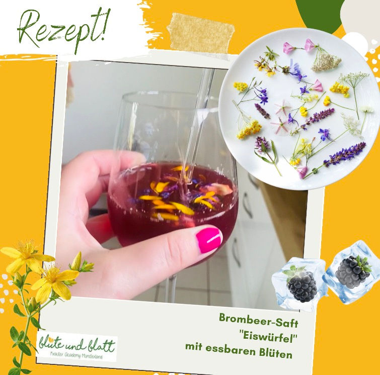🍇🍹BROMBEERSAFT EISWÜRFEL MIT ESSBAREN BLÜTEN🧊💐