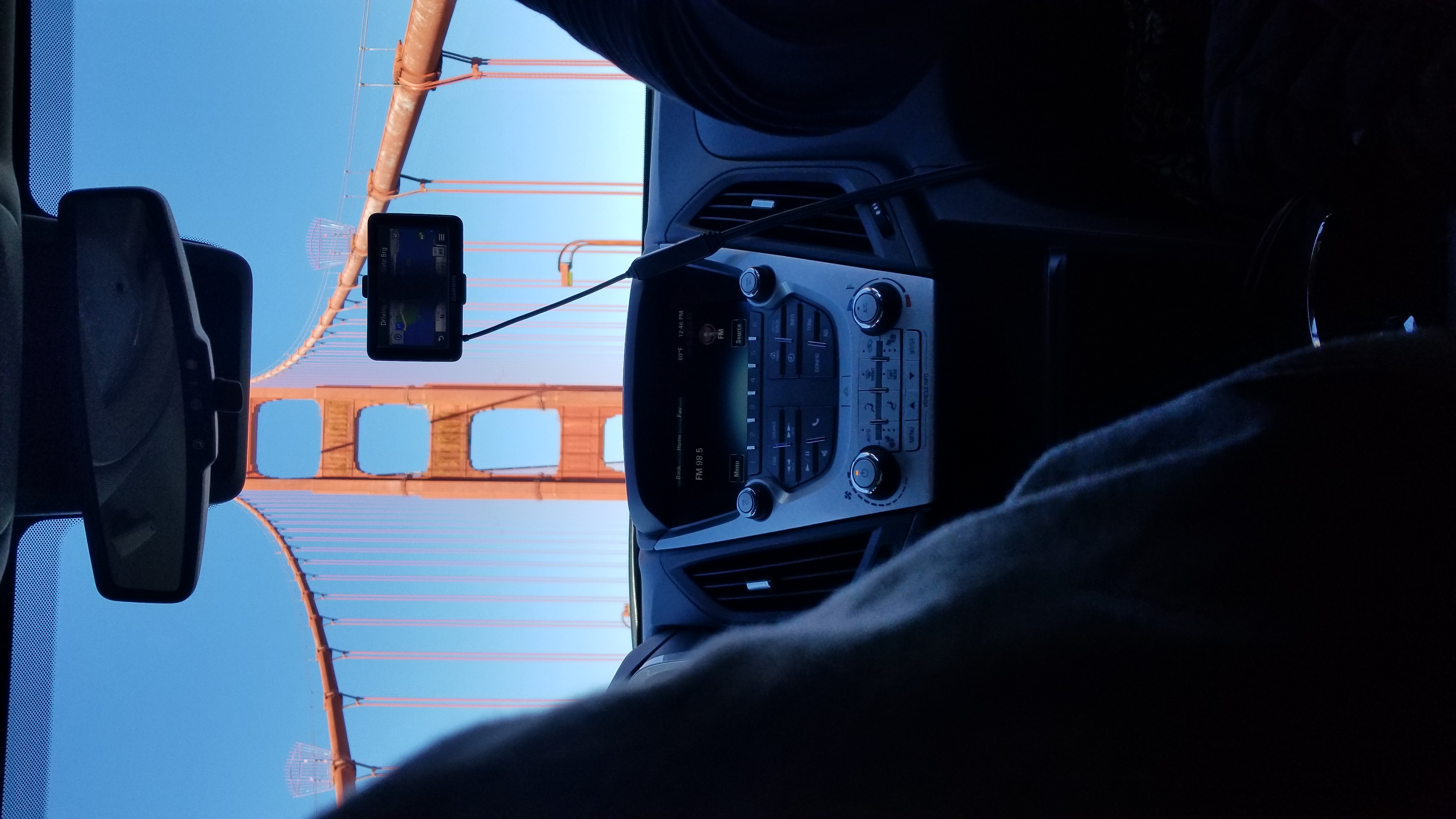 cerulean pear pet transportation