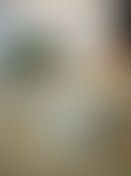 מותג הלייף סטייל 'היידה' במבצע חגיגי