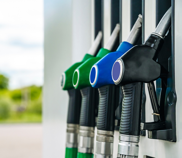 Copia di loi (1).png