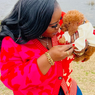 Red Goldendoodle Puppy New Owner Love