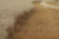 Wheat Field