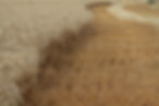 Wheat Field