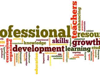 Professional Development for Educators in the Digital Age