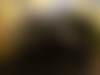 Hvorfra ved Mette Frederiksen, at Rusland gør klar til at angribe et europæisk land?