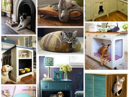 Excuse Me? Are You Comfortable Yet?