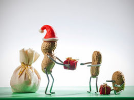 Holiday Survival Tactics