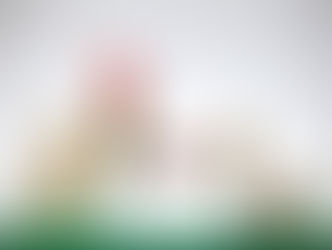 Holiday Survival Tactics