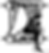 white Poetic Lace logo.png