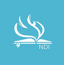 NEW NDI  Favicon.jpg