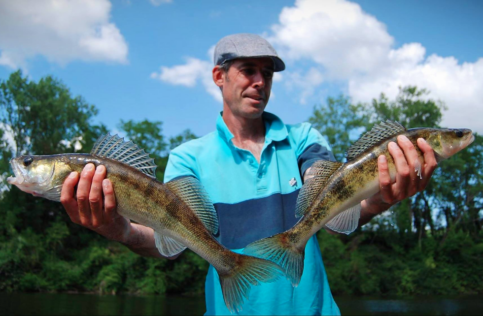 Thierry et ses 2 sandres