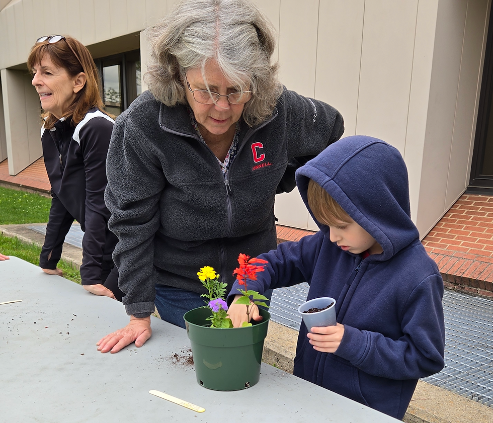 Screenshot 2025-01-11 at 1.32.57 PM