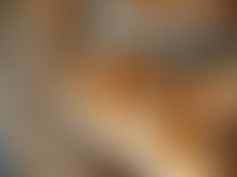 Merchandising Best Practices for Premium Consumer Brands: Build a Strong Brand Story Through Visual Merchandising