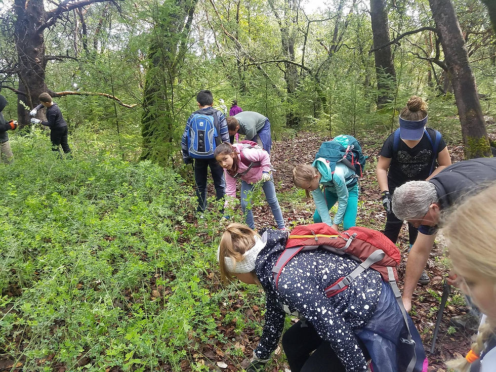 field trip image 3