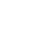 acupunture-needles.png