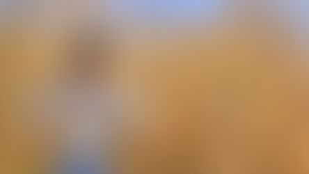 The Art of the Straw Man: Misdirection in Discourse