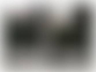 綺麗・早い・生垣刈り込み∣さいたま市植木屋∣シマダ造園へ