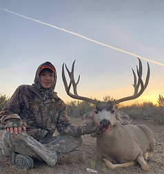 Mule deer hunting sunset