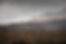 AdobeStock_481717623.jpeg