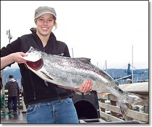 salmon