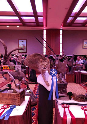 Michigan Taxidermist Association (2).JPEG