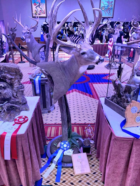 Michigan Taxidermist Association (3).JPEG