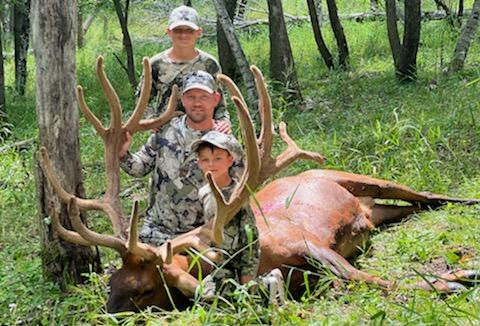 bull elk hunting
