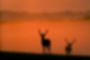 AdobeStock_121375165.jpeg